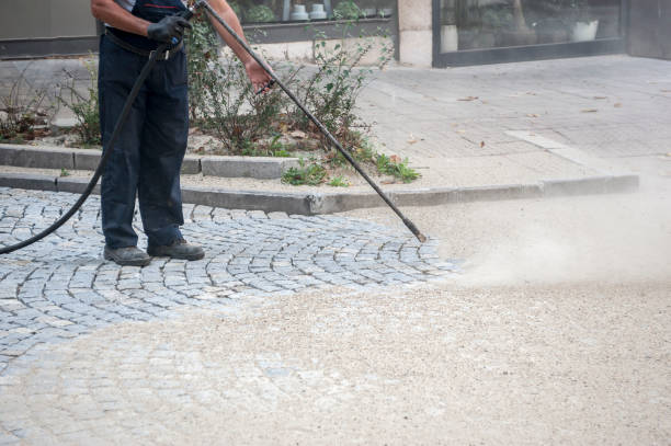 Best Fence Cleaning  in Hoquiam, WA