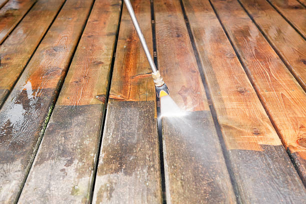 Best Animal Enclosure Cleaning  in Hoquiam, WA